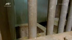 The Zoo US S04E08 New Chick on the Block HDTV x264-CRiMSON [eztv]