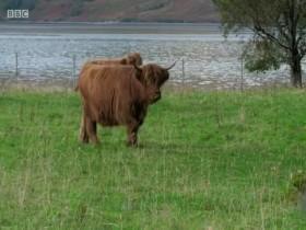 Amazing Hotels Life Beyond the Lobby S03E02 480p x264-mSD [eztv]