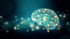 Udemy - Neuroplasticity: The Ultimate Brain Rewiring Formula 3.0