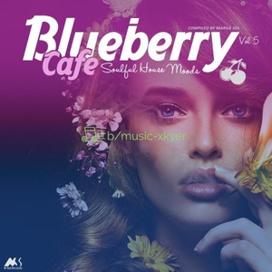 VA Blueberry Cafe Vol 5 Soulful House Moods 2018