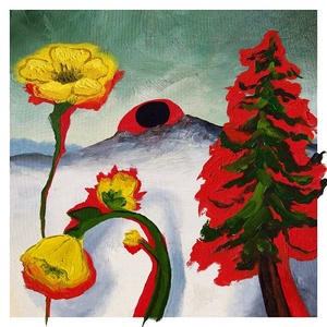 [indie-folk, indie-rock] (2020) Woods - Strange to Explain [FLAC] [DarkAngie]