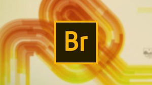 Adobe Bridge 2021 v11.0.2.123 (x64) + Fix {CracksHash}