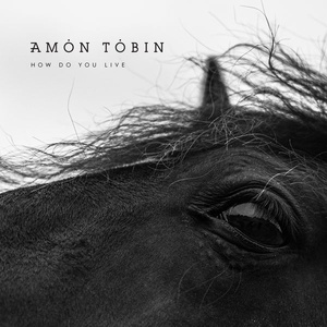 Amon Tobin - How Do You Live (2021) [24Bit-48kHz] FLAC [PMEDIA] ⭐️