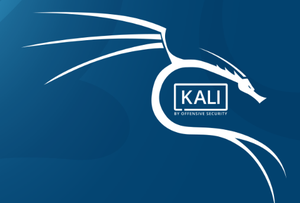 kali linux 2018 1 amd64