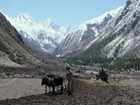 The Evolution of Us S01E01 480p x264-mSD [eztv]