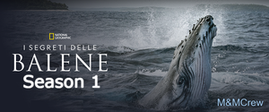 Secrets.Of.The.Whales.S01.iTALIAN.MULTI.1080p.WEB.x264-MeM