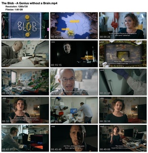 The Blob - A Genius without a Brain (1280x720p HD, 50fps, soft Eng subs)