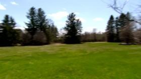 House Hunters S156E05 Big Backyard for a Wedding in Illinois WEB x264-CAFFEiNE [eztv]