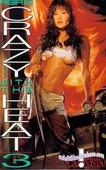 Crazy.with.the.Heat.3.1994.DVDRip.x264-worldmkv