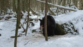 Americas Mississippi S01E01 The Headwaters WEB h264-CAFFEiNE [eztv]