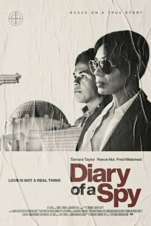 Diary.of.a.Spy.2022.HDRip.XviD.AC3-EVO[TGx]
