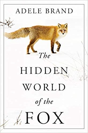 [ FreeCourseWeb ] The Hidden World of the Fox