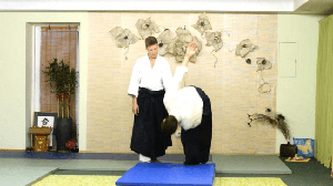 [ FreeCourseWeb ] Udemy - 100 Aikido Ukemi Build Up - Advanced Level