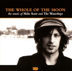 The Waterboys & Mike Scott - The Whole Of The Moon (1998) [gnodde]