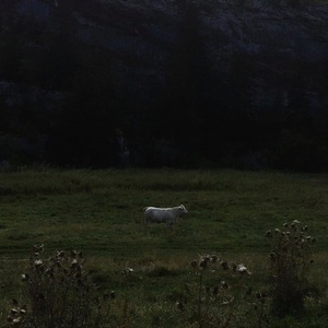 [ambient] (2021) Ulla Straus - Limitless Frame [FLAC] [DarkAngie]