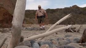 When Sharks Attack S01E03 California Killer WEB h264-CAFFEiNE [eztv]