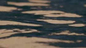 Legendary Catch S01E01 Fishing for Dinosaurs WEBRip x264-CAFFEiNE [eztv]