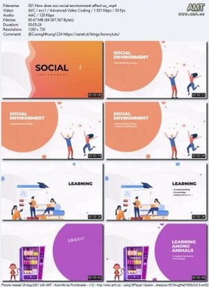 Udemy - Sociology - Understanding our society