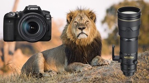 Udemy - Wildlife Photography for Beginners and Amateurs