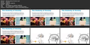 Udemy - Neuroplasticity - Discover How To Rewire Your Anxiety