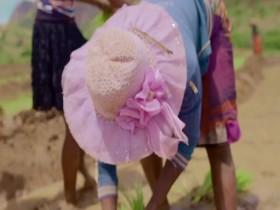 Earths Tropical Islands S01E01 Madagascar 480p x264-mSD [eztv]