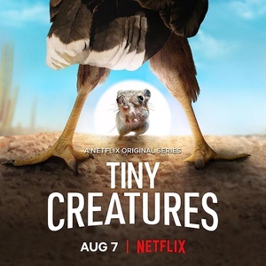Tiny.Creatures.S01.1080p.NF.WEBRip.DDP5.1.x264-ExREN