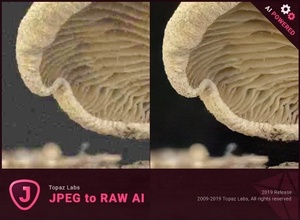 Topaz JPEG to RAW AI 2.2.1 + Crack [FileCR]