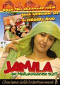 Jamila.De.Marokkaanse.Slet.p1.DVDRip.x264-worldmkv
