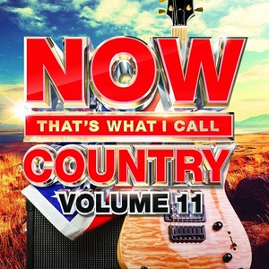 VA 2018 NOW That s What I Call Country Vol 11 FLAC miok WWRG