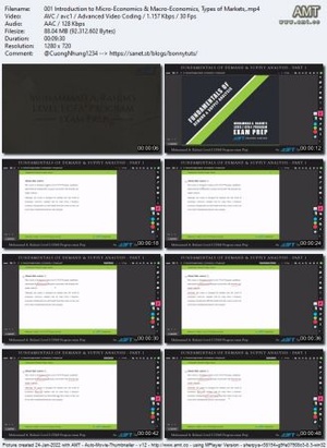 Udemy - Economics - Fundamentals of Demand and Supply Analysis