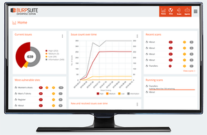 Burp Suite Professional Edition v2020.6 + Portable [FTUApps]