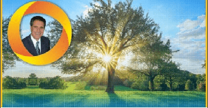 [ FreeCourseWeb ] Udemy - Solve Your Cash Flow Problems With A Proven 6-Step Blueprint