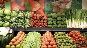 [ FreeCourseWeb ] Nutrition, Food and Health for Weight Loss