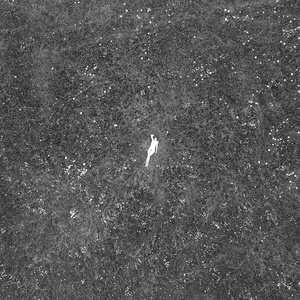 [alternative folk, ambient, dream-pop] (2021) Birds of Passage - The Last Garden [FLAC] [DarkAngie]