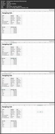 Skillshare - Excel Efficiency Class - Keyboard Shortcuts & More in 40 Minutes!