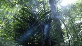 Primal Survivor S03E03 Crocodile Hunter WEBRip x264-CAFFEiNE [eztv]