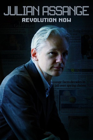 Mijenjamo.svijet.Julian.Assange.Cijena.istine.2021.1080p.HDTV.x264.[ExYuSubs]
