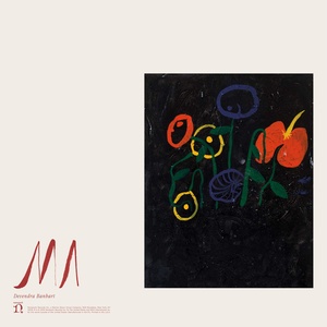 Devendra Banhart - Ma (2019) [320 KBPS] (pradyutvam)