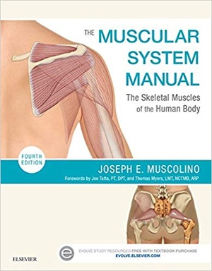 [ FreeCourseWeb ] The Muscular System Manual- The Skeletal Muscles of the Human Body, 4th Edition (True PDF)