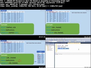 Udemy - Database SQL Queries Hands-on Training With Ms SQL Server