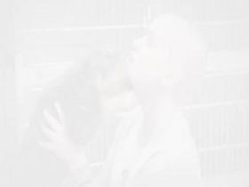 Amanda to the Rescue S02E05 One-Eyed Rottweiler 480p x264-mSD [eztv]