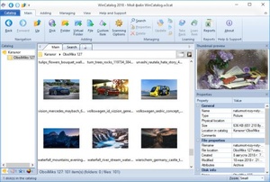 WinCatalog 2021.2.1.408 Multilingual [Neverb]