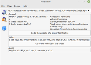 Panorama.Manchester.Arena.Bombing.Saffie's.Story.MP4.1080p.H264.WEBRip.EzzRips