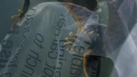 Wild Metropolis S01E01 Residents WEB H264-UNDERBELLY [eztv]