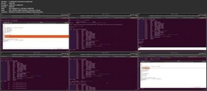 Udemy - X86 Assembly Programming