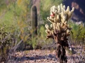 Pool Kings S08E12 A Splash of Hawaii 480p x264-mSD [eztv]