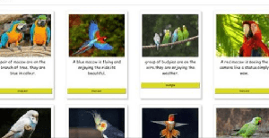 [ FreeCourseWeb ] Udemy - web desining - html and css from scratch