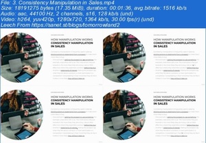 Udemy - How Manipulation Works in Sales