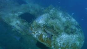 Reef Wrecks S01E04 Roatan WEB h264-CAFFEiNE [eztv]