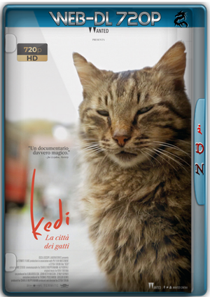 Kedi - La Città Dei Gatti (2016) ITA WEBMux 720p x264 - iDN_CreW